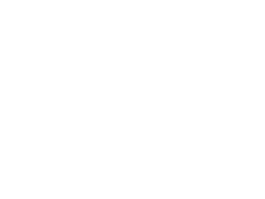 The Hotel GM