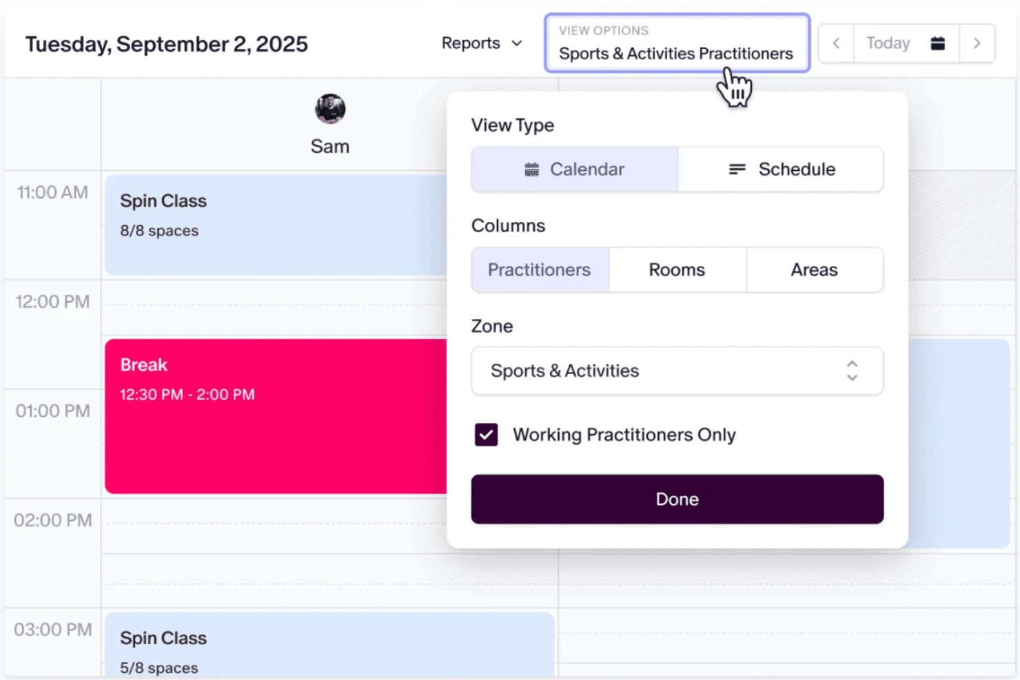 Calendar view options panel showing view type, columns, and zone settings.