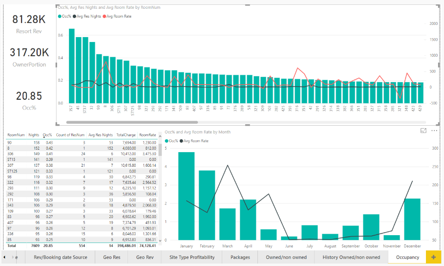 Resort Data software review - a screenshot of the tool's analytics dashboard